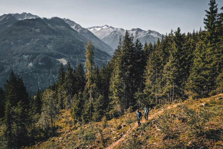 Etappe 04 / 05 in der Wildkogel-Arena am Hohe Tauern Panorama Trail von Daniel Kogler.
01_2022,  2020,  Austria,  Berg,  Daniel Kogler,  Ferienregion Nationalpark Hohe Tauern,  Freizeitaktivität,  Herbst,  Hohe Tauern Panorama Trail,  Landschaft,  M+ Presse Berg,  M+ Presse Sommer,  Mensch,  Mittersill+,  Oberpinzgau,  Oktober,  Pinzgau,  Salzburg,  Salzburger Land,  Tag,  Wandern,  Weitwandern,  Wildkogel Arena,  Österreich,  Abies,  Conifer,  Fir,  Human,  Person,  Plant,  Tree