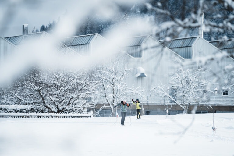Winterbilder in und um Mittersill im Jänner 2021 von Daniel Kogler Langlaufen
01_2021, Austria, Daniel Kogler, Ferienregion Nationalpark Hohe Tauern, Freizeitaktivität, Hohe Tauern, Jänner, Kitzbüheler Alpen, Langlaufen, M+ Business Stadt, M+ Business Tal, M+ Business Winter, M+ Presse Tal, M+ Presse Winter, Mensch, Mittersill+, Oberpinzgau, Pinzgau, Salzachtal, Salzburg, Salzburger Land, Winter, Österreich, Blizzard, Human, Nature, Outdoors, Person, Snow, Storm, Weather, Winter