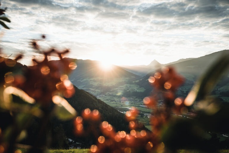 Fotos von Daniel Kogler Rund um den Berghof in Hollersbach im Juli 2020
01_2021,  2020,  Austria,  Daniel Kogler,  Eberesche,  Ferienregion Nationalpark Hohe Tauern,  Gemeindegebiet Hollersbach,  Juli,  Landschaft,  M+ Business Berg,  M+ Business Sommer,  M+ Presse Sommer,  Mittersill,  Mittersill+,  Oberpinzgau,  Pflanze,  Pinzgau,  Salzburg,  Salzburger Land,  Sommer,  Sonnenuntergang,  Vogelbeere,  Österreich,  Flare,  Light,  Nature,  Outdoors,  Sunlight