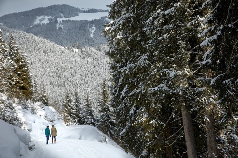 Winterwandern
