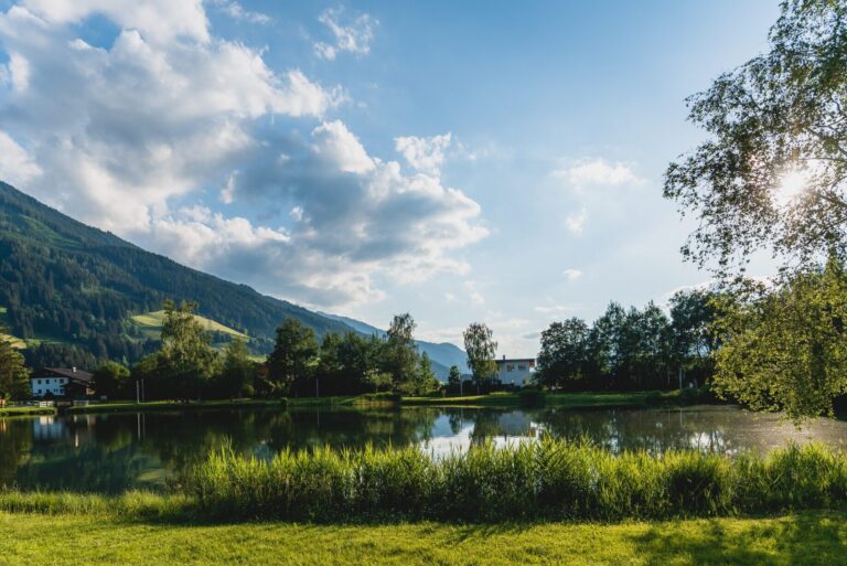 Zierteich